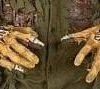 The Horror Dome "Rotted Jason Hands" Halloween Costume Gloves Hands & Feet