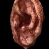 SpellBound FX And Art "Severed Ear" Halloween Prop Accessories