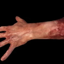 SpellBound FX And Art "Severed Left Male Hand - Silicone" Human Body Part Halloween Prop