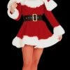 Morris "Sexy Miss Santa - Adult Small" Costume