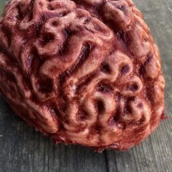 SpellBound FX And Art "Silicone Brain" Body Part Halloween Prop Props