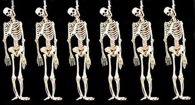 Morris Package Deals "Skeleton Halloween Props" - 6x Package Deal 3 Morris Package Deals "Skeleton Halloween Props" - 6x Package Deal