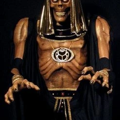 Morris "Stalkaround - Scare-O-Mummy" Professional Costume Costumes