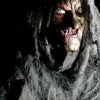 Distortions Animatronics "Swamp Hag" Halloween Animatronic 2 Distortions Animatronics "Swamp Hag" Halloween Animatronic