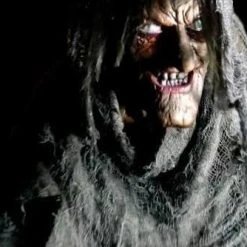 Distortions Animatronics "Swamp Hag" Halloween Animatronic