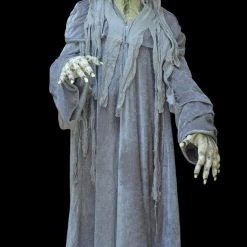 The Horror Dome Costumes "Swamp Hag" HD Studios Costume