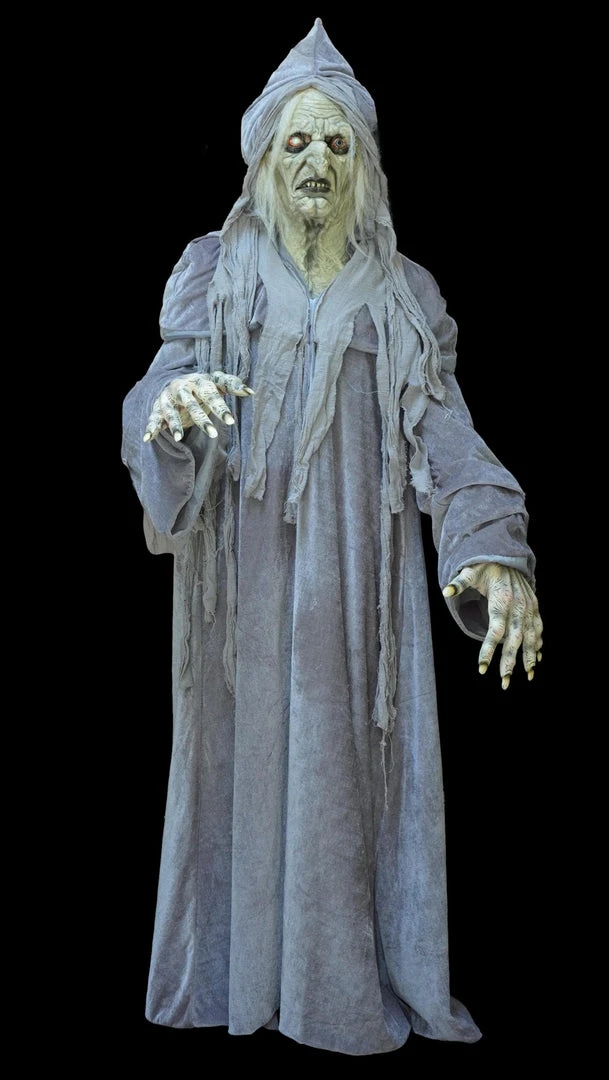 The Horror Dome Costumes "Swamp Hag" HD Studios Costume 3 The Horror Dome Costumes "Swamp Hag" HD Studios Costume