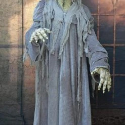 The Horror Dome Costumes "Swamp Hag" HD Studios Costume 11 The Horror Dome Costumes