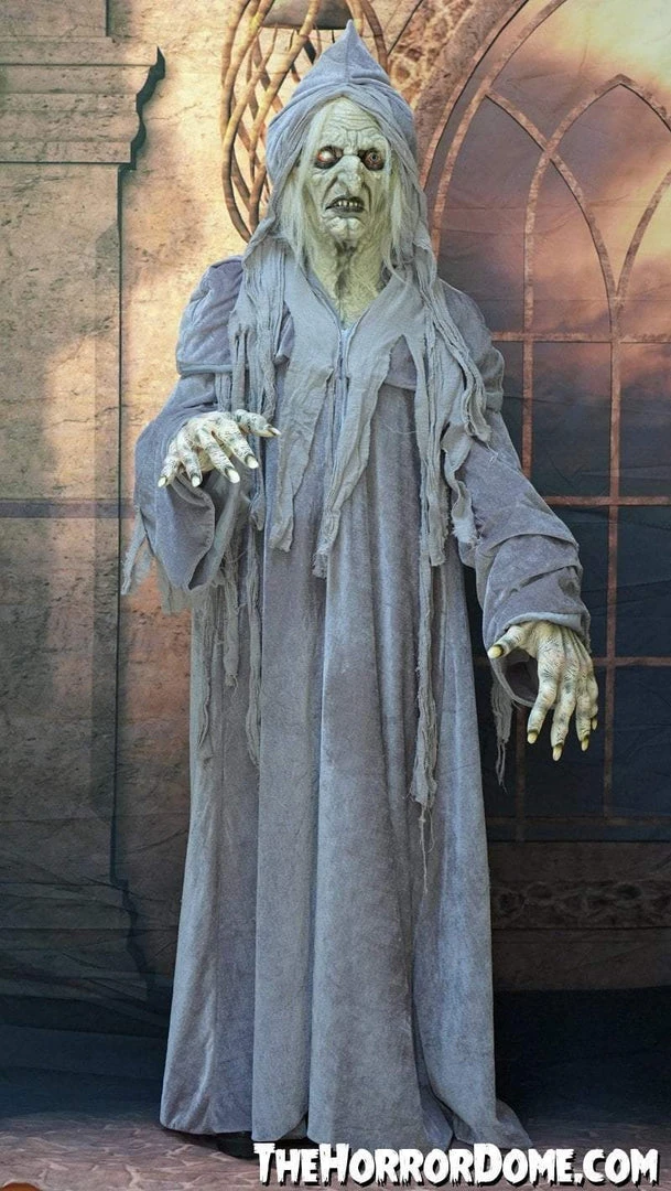 The Horror Dome Costumes "Swamp Hag" HD Studios Costume 6 The Horror Dome Costumes "Swamp Hag" HD Studios Costume