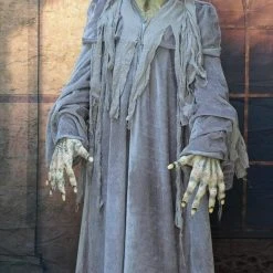The Horror Dome Costumes "Swamp Hag" HD Studios Costume 12 The Horror Dome Costumes