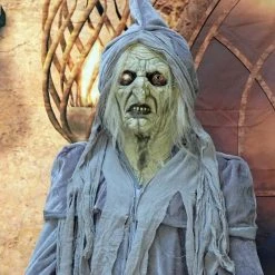 The Horror Dome Costumes "Swamp Hag" HD Studios Costume 10 The Horror Dome Costumes