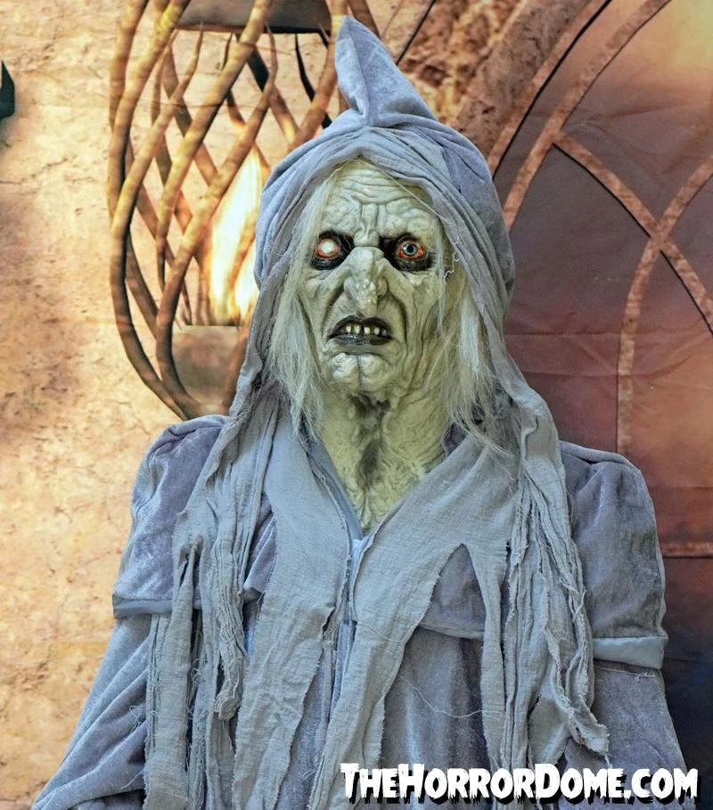 The Horror Dome Costumes "Swamp Hag" HD Studios Costume 5 The Horror Dome Costumes "Swamp Hag" HD Studios Costume