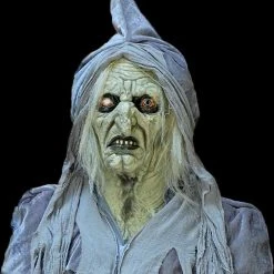 The Horror Dome Costumes "Swamp Hag" HD Studios Costume