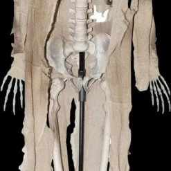 Morris "Talking Skeleton" Halloween Prop - Open Box