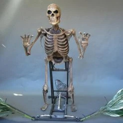 DC Props "The Bushwacker" Skeleton Halloween Animatronic Animatronics