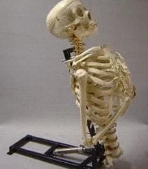 DC Props "Torso Lifter" Halloween Animatronic Mechanism Animatronics