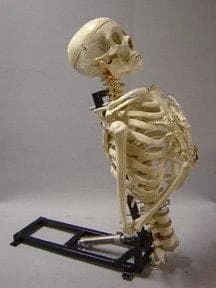 DC Props "Torso Lifter" Halloween Animatronic Mechanism Animatronics 3 DC Props "Torso Lifter" Halloween Animatronic Mechanism Animatronics