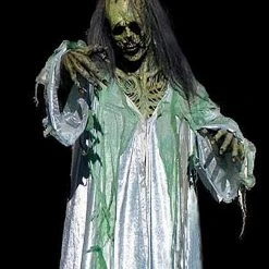 The Horror Dome "Ultimate Spectre" HD Studios Pro Costume Costumes