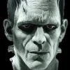 Morris Scary Masks "Universal Studios Frankenstein" Mask