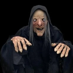 The Horror Dome Costumes "Wicked Witch" HD Comfort Costume