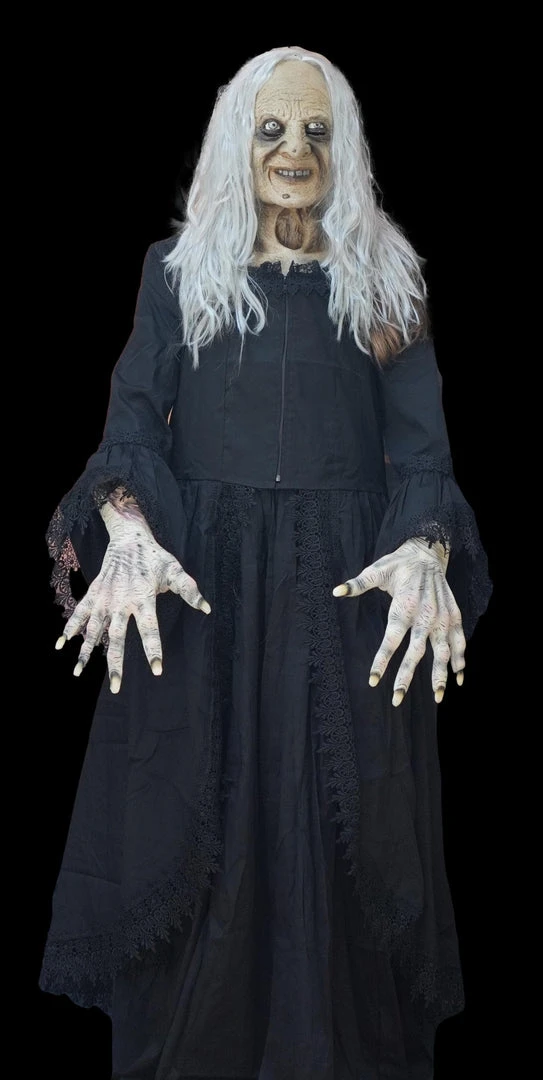 The Horror Dome Costumes "Witchy Woman" HD Studios Costume 3 The Horror Dome Costumes "Witchy Woman" HD Studios Costume
