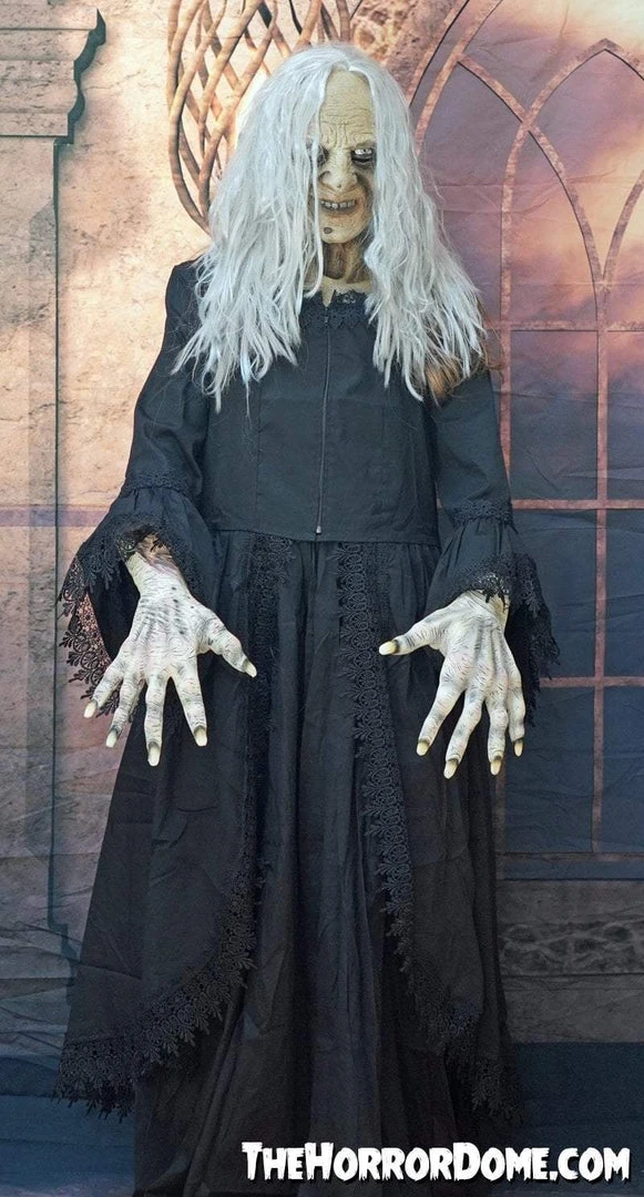 The Horror Dome Costumes "Witchy Woman" HD Studios Costume 6 The Horror Dome Costumes "Witchy Woman" HD Studios Costume
