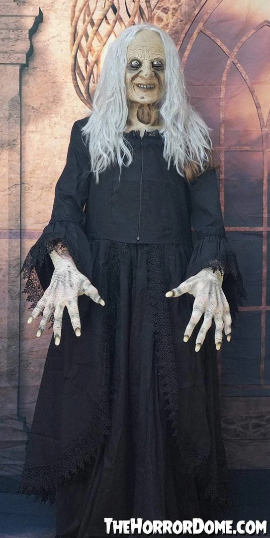 The Horror Dome Costumes "Witchy Woman" HD Studios Costume 8 The Horror Dome Costumes "Witchy Woman" HD Studios Costume