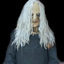The Horror Dome Costumes "Witchy Woman" HD Studios Costume