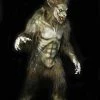 Midnight Studios "Wolf Man" Professional Costume