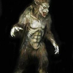 Midnight Studios "Wolf Man" Professional Costume