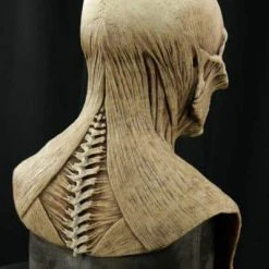 CFX "Yorick The Skull - Tan" Silicone Mask Scary Masks