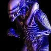 Midnight Studios "Zenomorph" Professional Costume